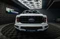 Ford F 150 F150 5.0L V8 4x4 Offroad SuperCrew RAPTOR 19% Weiß - thumbnail 1
