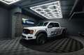Ford F 150 F150 5.0L V8 4x4 Offroad SuperCrew RAPTOR 19% Weiß - thumbnail 3