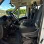 Fiat Ducato Maxi 2.3mjt 96KW/130CV Cassone con Gru Bianco - thumbnail 7