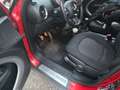MINI Cooper Countryman MINI Countryman COOPER 1,6, Pickerl u Service Neu Rot - thumbnail 22