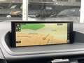 Lexus CT 200h Business Launch Edition | Apple Carplay/Android Au Grijs - thumbnail 13