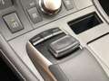 Lexus CT 200h Business Launch Edition | Apple Carplay/Android Au Grijs - thumbnail 29
