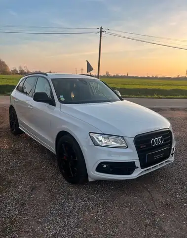 Audi SQ5 3.0 TDI 313Chv