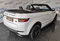 Land Rover Range Rover Evoque Evoque Cabrio HSE Dynamic BLACK EDITION0! Bianco - thumbnail 5