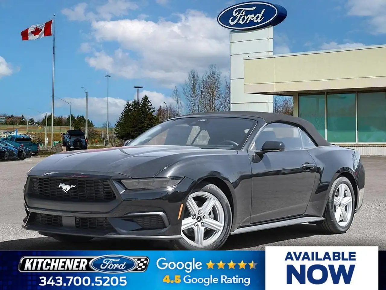 Ford Mustang photo Ford Mustang