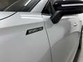Skoda Kodiaq 2,0 TDI Sportline DSG /MATRIX-LED/ ACC/ NAVI/SP... Zilver - thumbnail 9