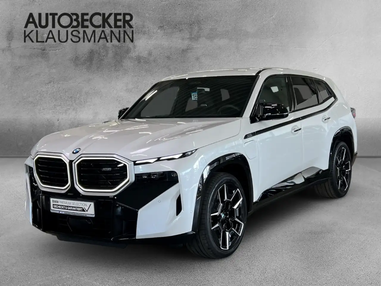 BMW XM