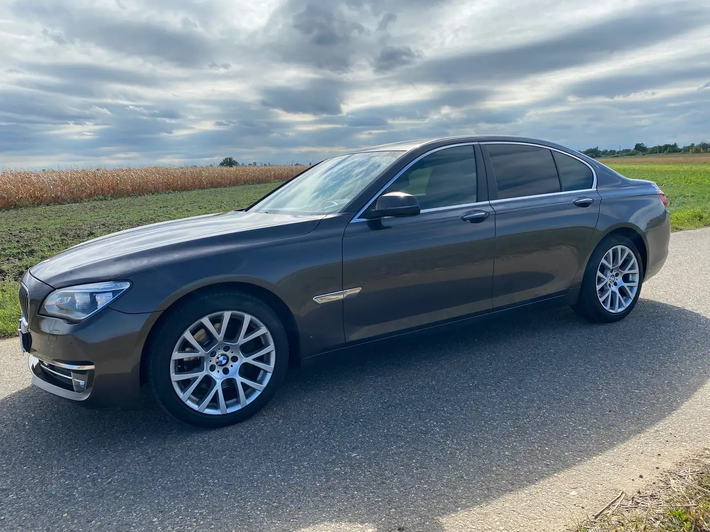BMW 740 740 d F01 Bruin - 1