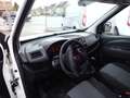 Fiat Doblo Cargo 1.3 MultiJet Actual VOORZIEN VAN AIRCO+TREKH Blanco - thumbnail 10