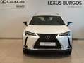 Lexus UX 250h Premium 4WD Blanco - thumbnail 13