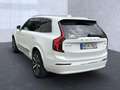 Volvo XC90 XC 90 Plus Bright Recharge Plug-In Hybrid AWD LED Weiß - thumbnail 3