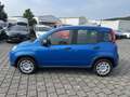 Fiat Panda NEU 1.0 GSE Hybrid DAB Klima City-Paket Blau - thumbnail 6