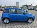 Fiat Panda NEU 1.0 GSE Hybrid DAB Klima City-Paket Blau - thumbnail 10