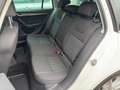 Skoda Octavia Combi 2,0 TDI Style Limited, SKY, ACC, CANTON, ... Weiß - thumbnail 18