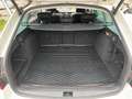 Skoda Octavia Combi 2,0 TDI Style Limited, SKY, ACC, CANTON, ... Weiß - thumbnail 20