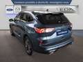 Ford Kuga 2.0 EcoBlue 150ch mHEV ST-Line Business - thumbnail 4