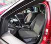 Ford Focus 1.0 EcoBoost Edition NWE. D-RIEM / AIRCO / TREKHAA Rot - thumbnail 12