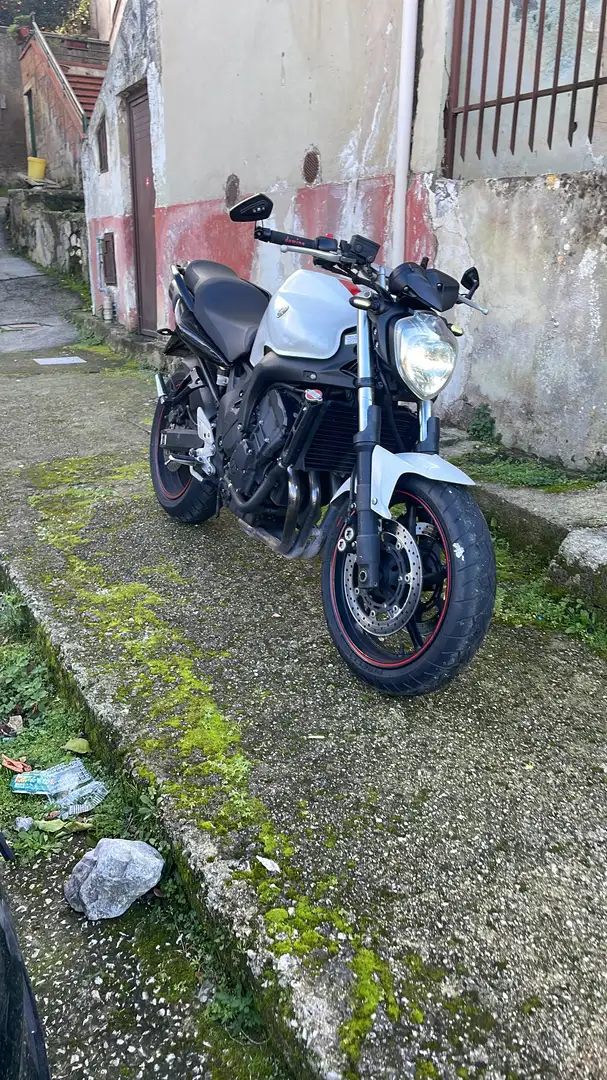 Yamaha FZ 6 S2 - 2