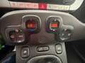 Fiat Panda City Cross 1.2 Verde - thumbnail 5