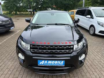 Dynamic Navi Leder Xenon Kame