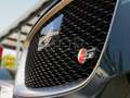 Jaguar F-Pace 30d S AWD NAVI KLIMA ACC DAB LM AHK Grün - thumbnail 7