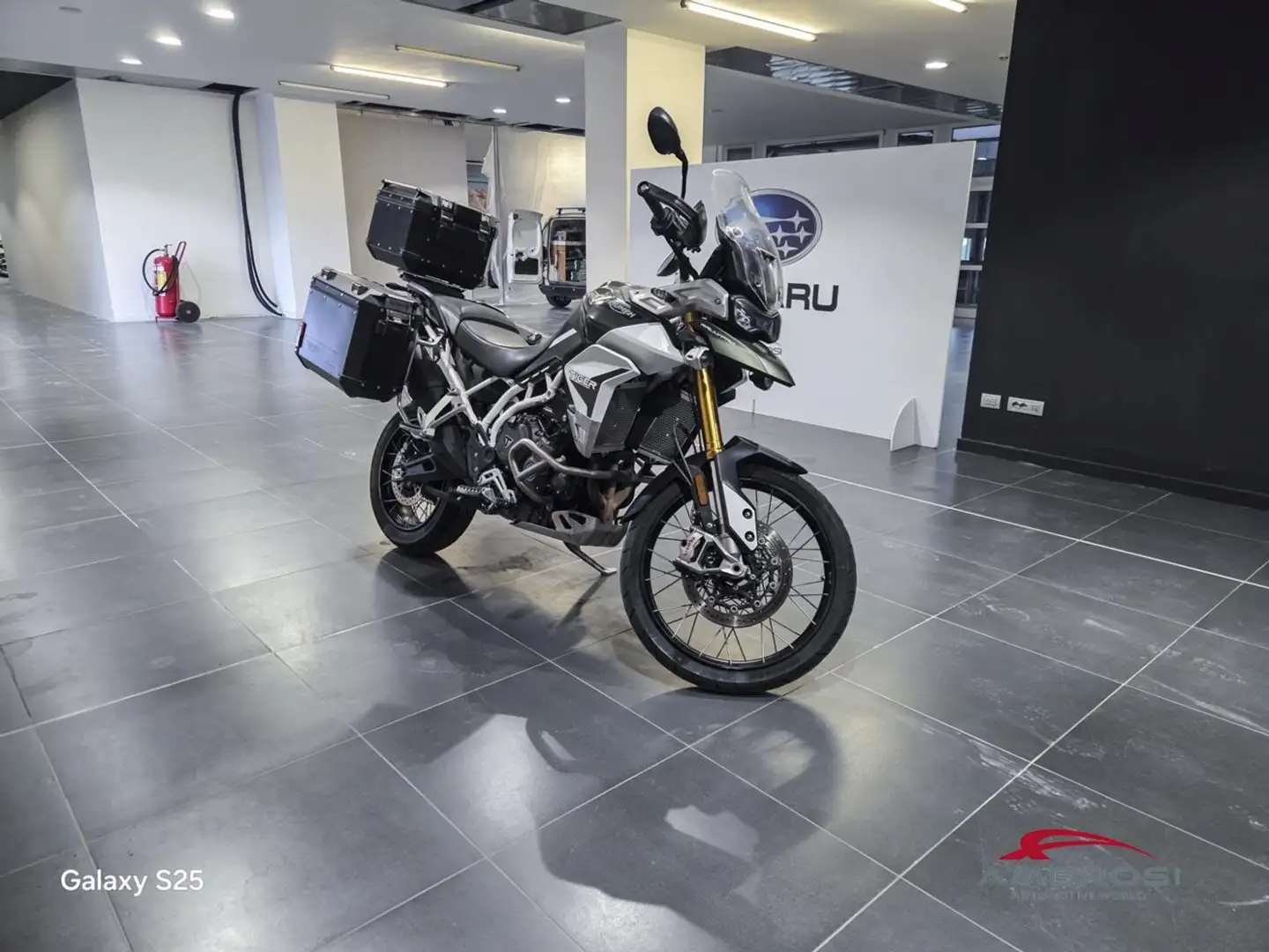 Triumph Tiger 70 900 RALLY PRO Verde - 2