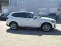 BMW X3 XDRIVE20D XLINE Blanco - thumbnail 7