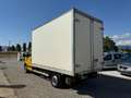 Renault Master 2.5 dCi Centinato Unico Proprietario Yellow - thumbnail 4