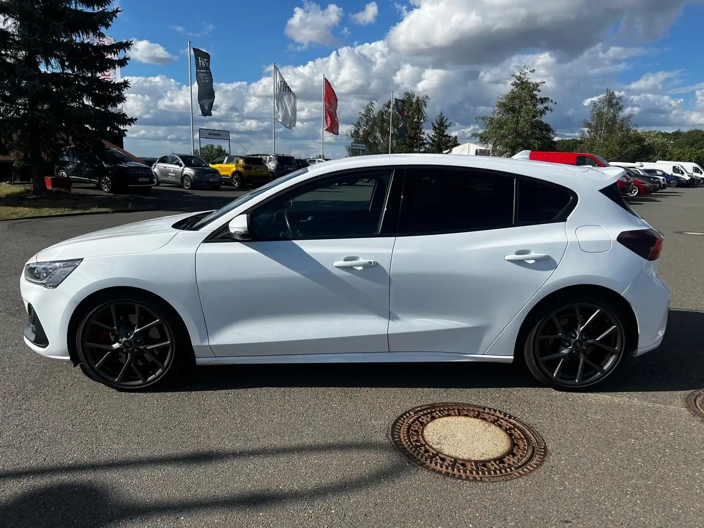 Ford Focus 2.3 ST X*Schale*B&O*HeadUP*Matrix*D Weiß - 2