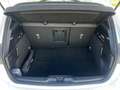 Ford Focus 2.3 ST X*Schale*B&O*HeadUP*Matrix*D Weiß - thumbnail 5