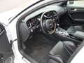 Audi RS4 A4 Avant 4.2 FSI quattro , Schaalstoelen , Carbon, Wit - thumbnail 13