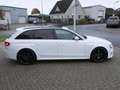 Audi RS4 A4 Avant 4.2 FSI quattro , Schaalstoelen , Carbon, Wit - thumbnail 6