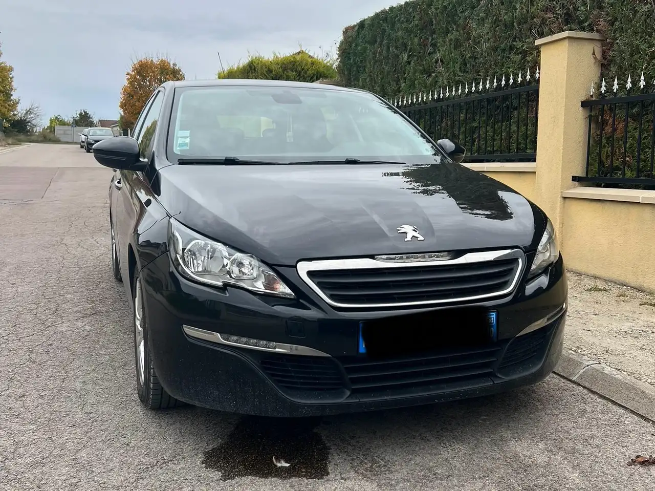Peugeot 308 1.6 BlueHDi 120ch S