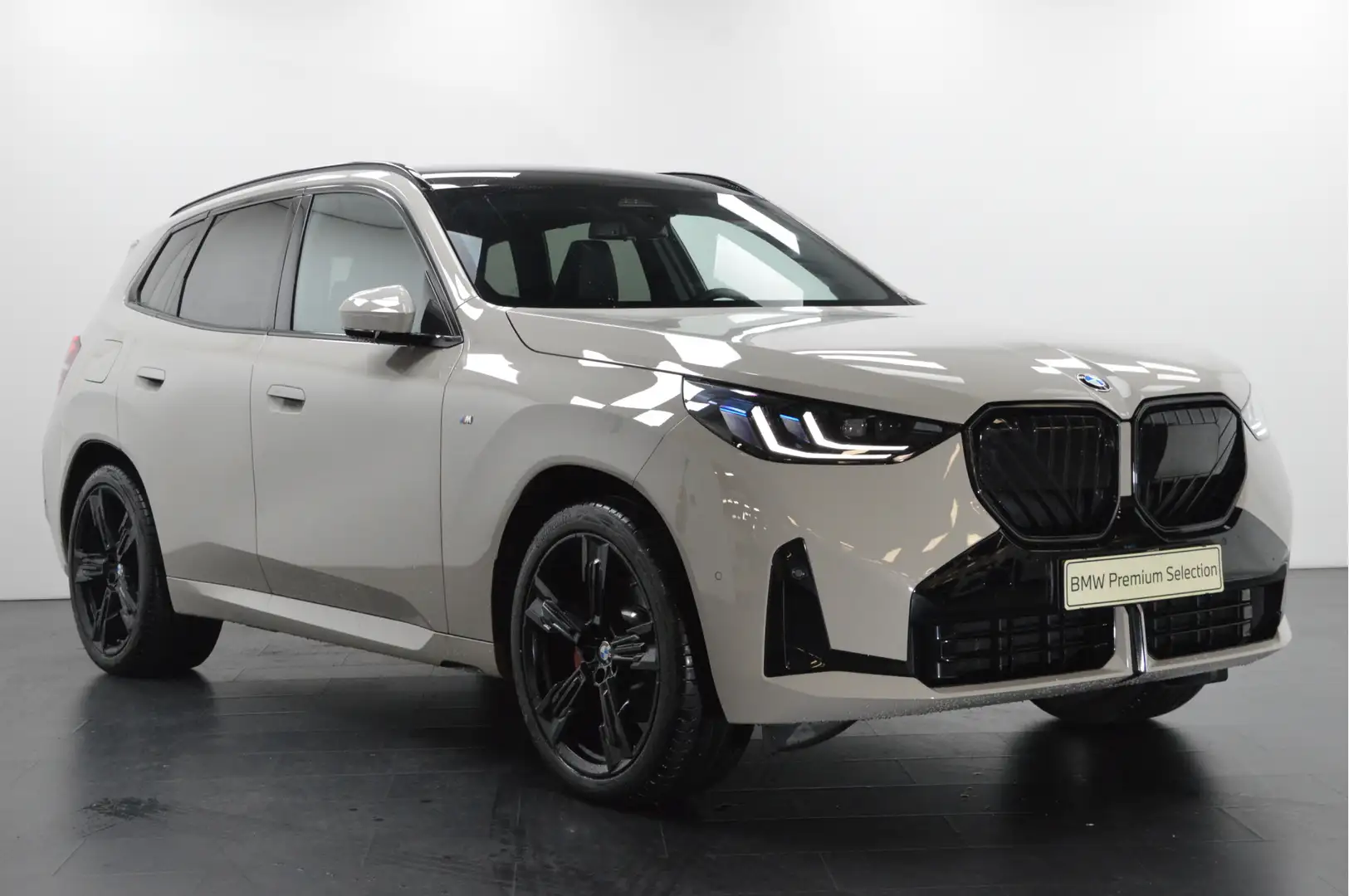 BMW X3 30e xDrive M Sport Automaat / Panoramadak / Trekha Gris - 2