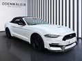 Ford Mustang 2.3 EcoBoost Cabrio Apple Carplay Android Auto Blanc - thumbnail 8