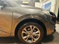 Ford Kuga 2.5 Full Hybrid 190 CV CVT AWD 4X4 ST-Line Gris - thumbnail 9