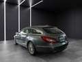 Mercedes-Benz CLS 250 BlueTec   d 4Matic NAVI+AHK+KAMERA 360°+ Grau - thumbnail 5