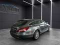 Mercedes-Benz CLS 250 BlueTec   d 4Matic NAVI+AHK+KAMERA 360°+ Grigio - thumbnail 7