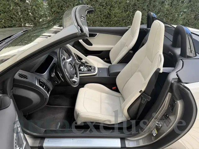 Jaguar F-Type view 7