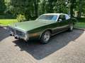 Dodge Charger Brougham Verde - thumbnail 1