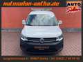 Volkswagen Caddy Maxi Kasten Trendline 4Motion SORTIMO+AHK Weiß - thumbnail 2