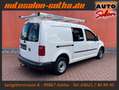 Volkswagen Caddy Maxi Kasten Trendline 4Motion SORTIMO+AHK Weiß - thumbnail 4