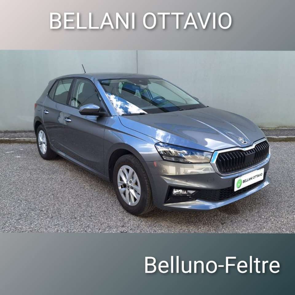 Skoda Fabia 1.0 MPI 80 CV Selection