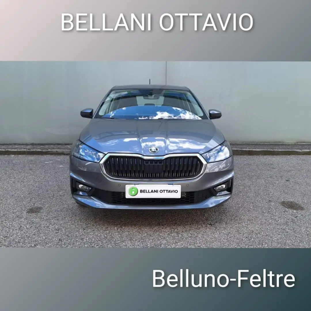 Skoda Fabia 1.0 MPI 80 CV Selection Grijs - 2