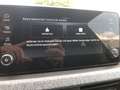 Skoda Kamiq TOUR 1.0 TSI MATRIX+WSS BEHEIZT+PARK-PILOT Klima Gris - thumbnail 14