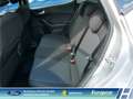 Ford Fiesta Active 1.0 EcoBoost M-Hybrid LED Klimaaut. DAB 2.H Silber - thumbnail 10