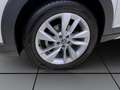 Volkswagen Taigo 1.0 TSI DSG LIFE AHK IQ.LIGHT PDC ACC Grau - thumbnail 8