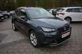 SEAT Arona 1.0 TSI FR DSG CAM+ACC+TOTERWINKEL+PARKLEN Grau - thumbnail 5