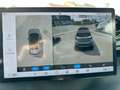 BYD Dolphin Design Vorführwagen Probefahrten möglich Grigio - thumbnail 17