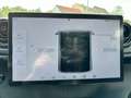 BYD Dolphin Design Vorführwagen Probefahrten möglich Grigio - thumbnail 21